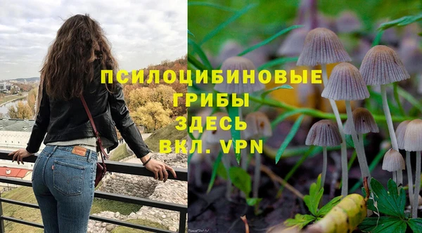 гидра Осинники
