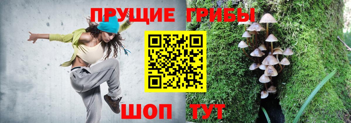 Сибай  Галлюциногенные грибы GOLDEN TEACHER  Вход с VPN 