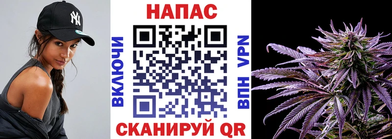 Шишки марихуана OG Kush  Сибай 